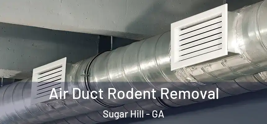  Air Duct Rodent Removal Sugar Hill - GA