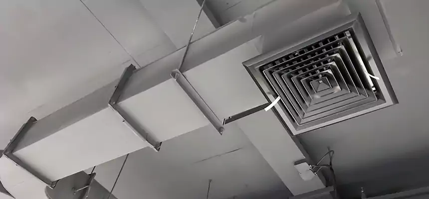 Restorative Allergy Relief Vent Cleaning – Coil, Blower & Housing Detail in Sugar Hill