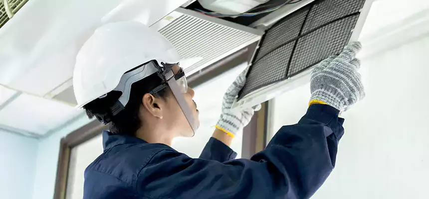 Our Mold & Mildew Removal from Air Ducts Services in Sugar Hill, GA