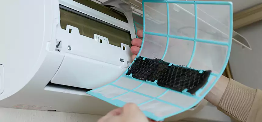 Gentle Ductwork Odor-Control Pet Dander Duct Cleaning in Sugar Hill, GA