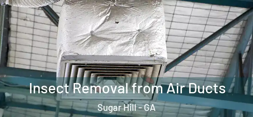  Insect Removal from Air Ducts Sugar Hill - GA