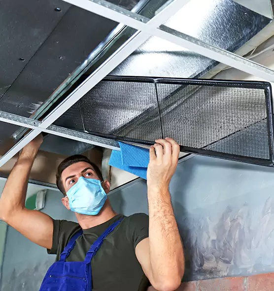 Professional Air Duct Pollen Cleaning in Sugar Hill, GA