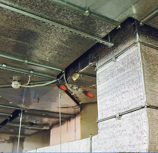 Why Homeowners & Businesses Trust Us in Sugar Hill, GA?